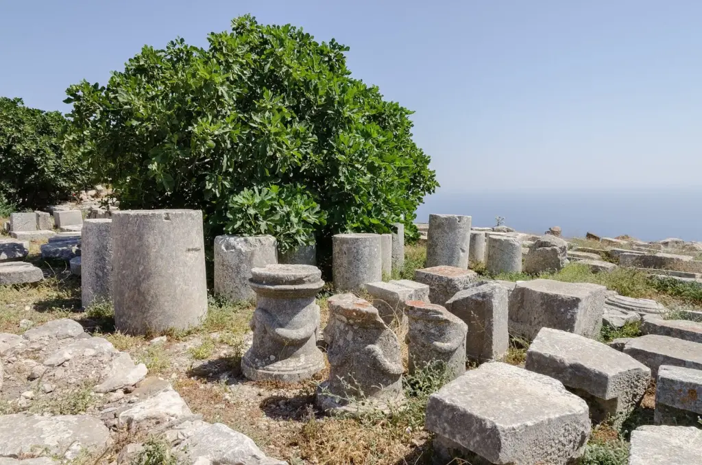 Broken marble columns and building stones among shrubs at the ruins of Ancient Thera